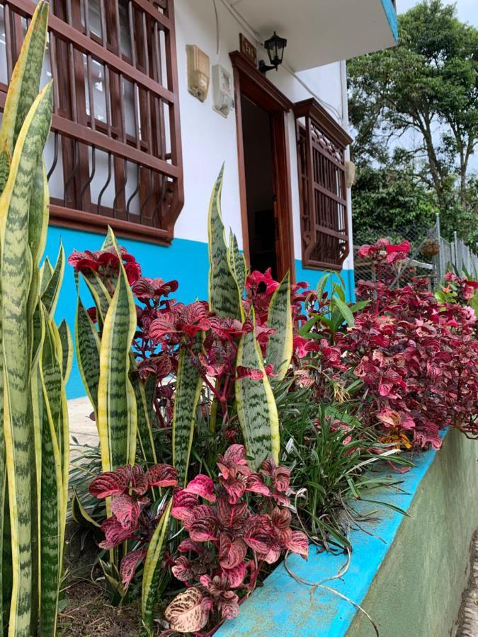 Hotel Casa Huespedes El Ensueno à Jardín Extérieur photo